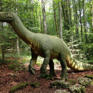 Switzerland Best Places-Prehisto Parc